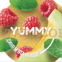 Тютюн Yummy (Яммі) Диня, М'ята, Ягоди 250 г. Фото.